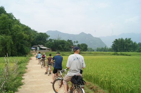 Thuê xe đạp- hình thức khám phá được nhiều du khách lựa chọn khi tới Mai Châu